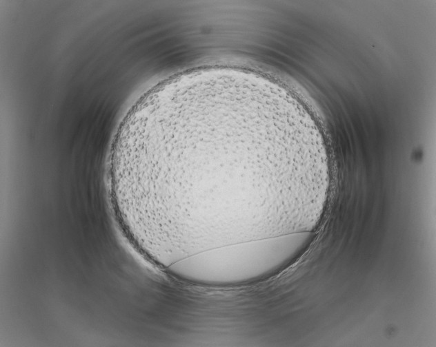 X0000116881084201002021143