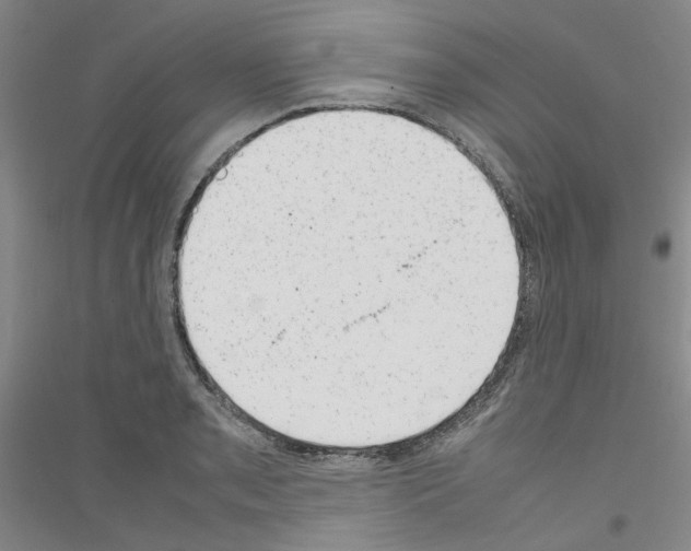 X0000116881085201002021143