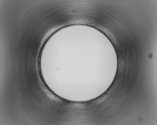 X0000116881086201002021143