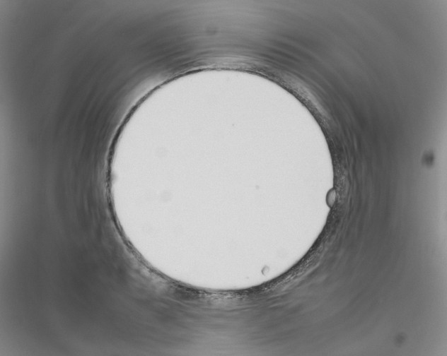 X0000116881087201002021143