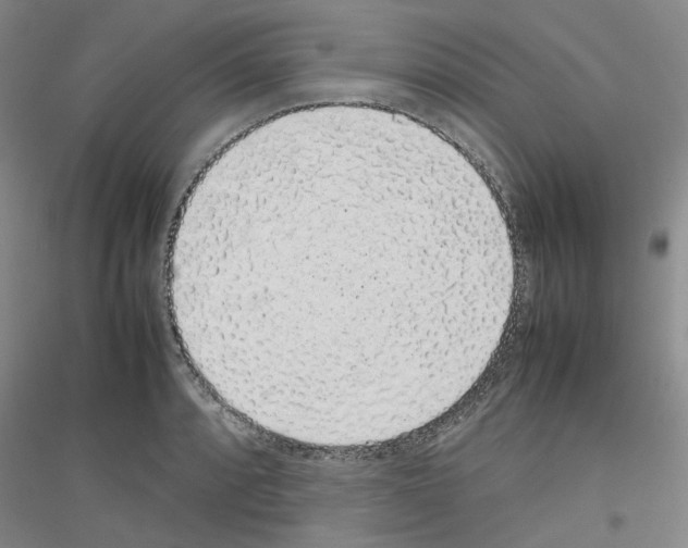 X0000116881088201002021143