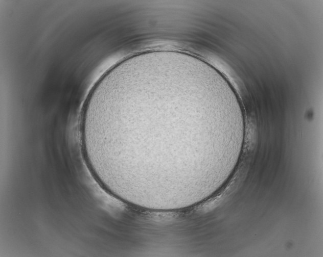 X0000116881090201002021143