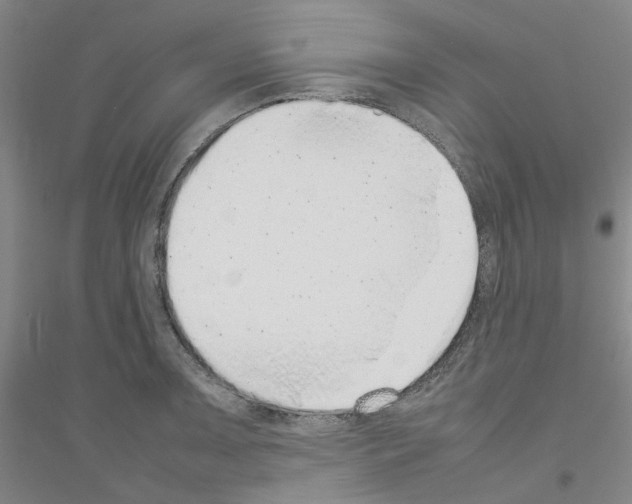 X0000116881091201002021143