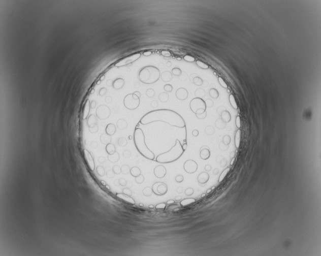X0000116881095201002021143