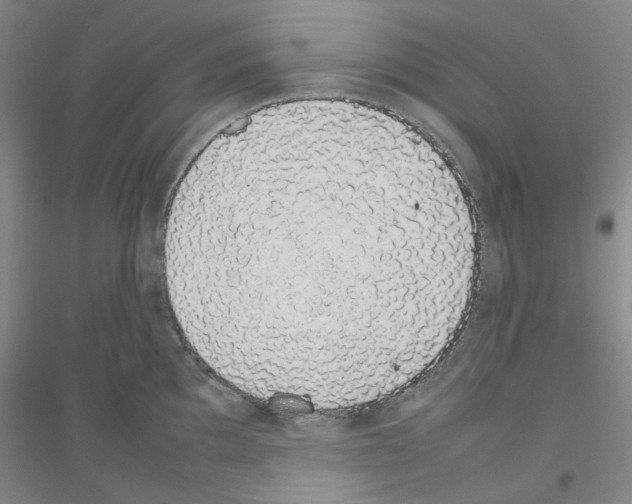 X0000116881097201002021143