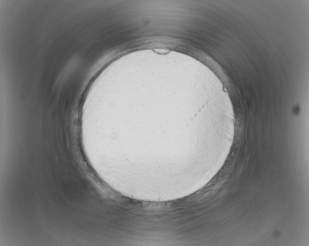 X0000116881099201002021143
