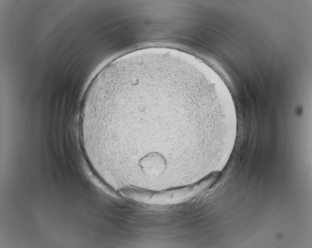 X0000116881100201002021143