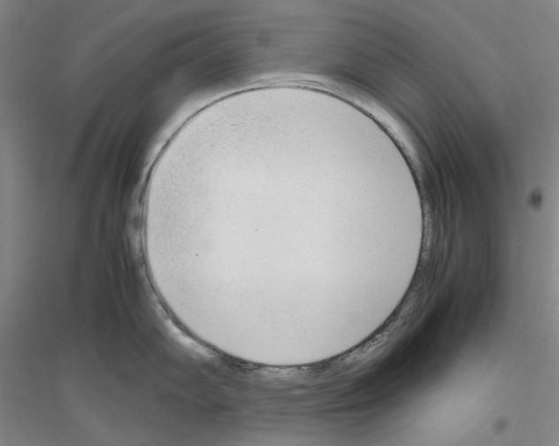 X0000116881102201002021143