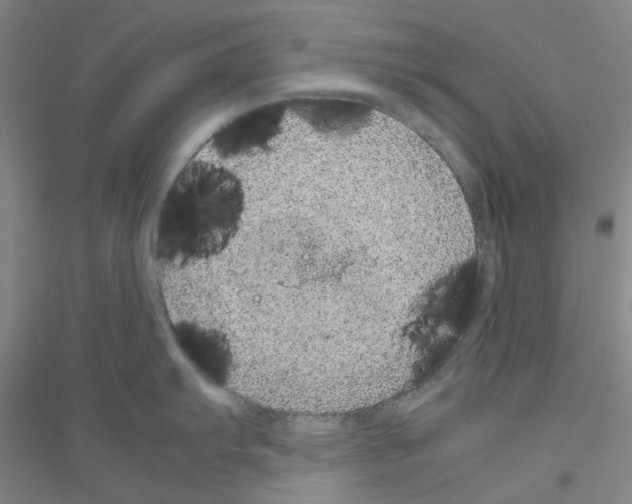 X0000116881103201002021143