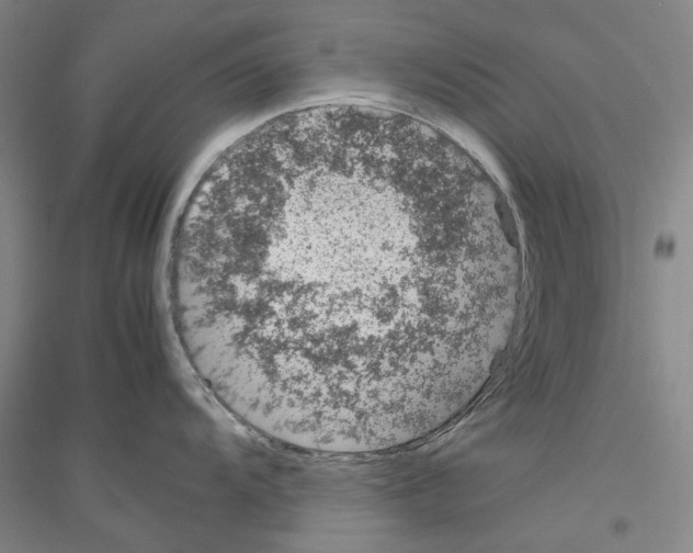 X0000116881104201002021143