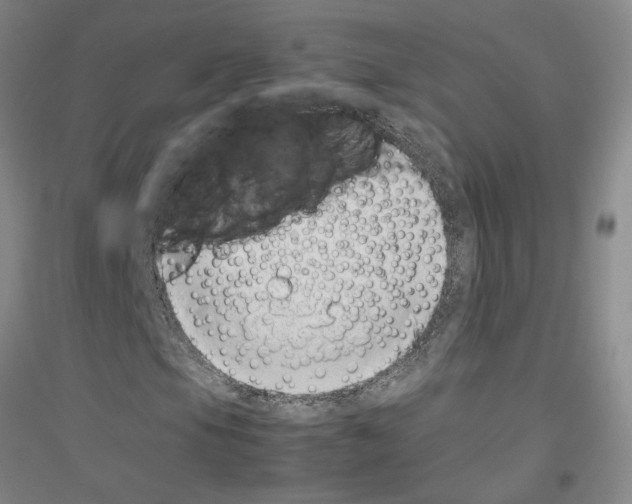 X0000116881105201002021142