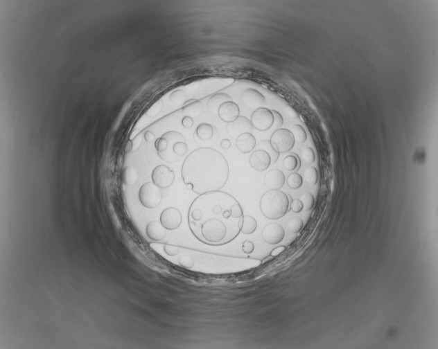 X0000116881106201002021142