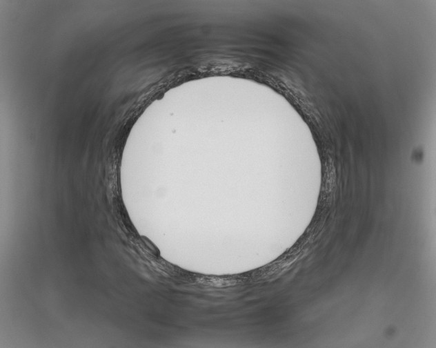 X0000116881109201002021142