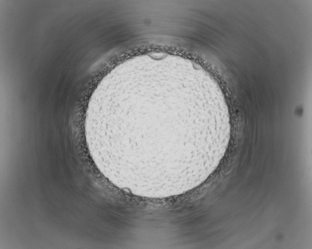 X0000116881110201002021142