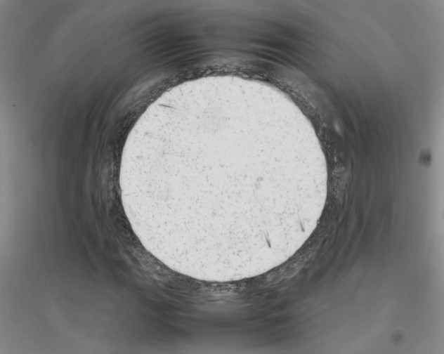 X0000116881111201002021142