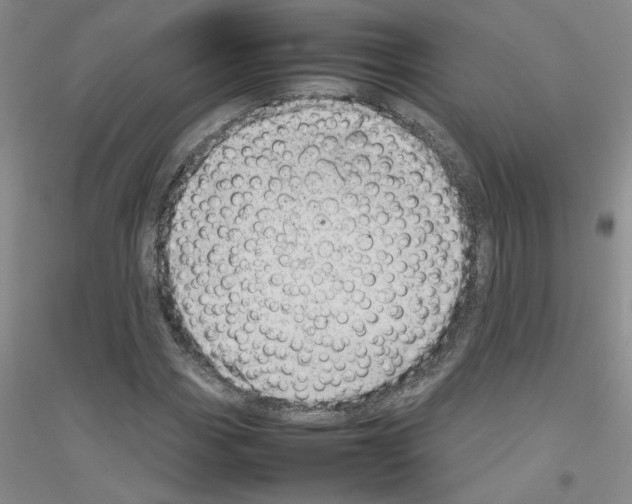 X0000116881113201002021142