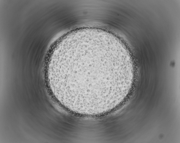X0000116881114201002021142