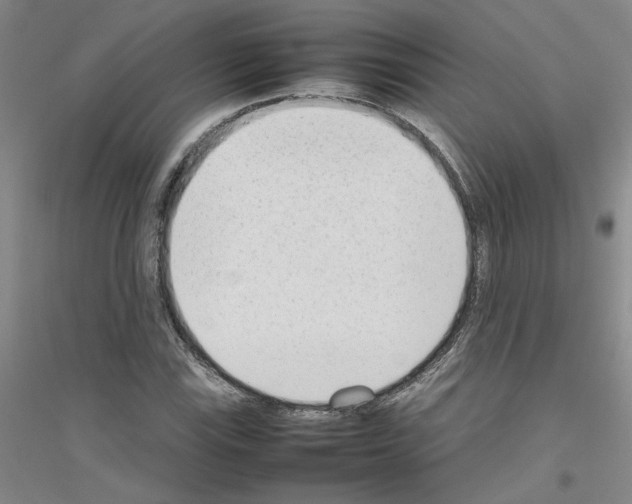 X0000116881115201002021142