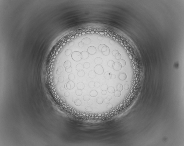 X0000116881117201002021142