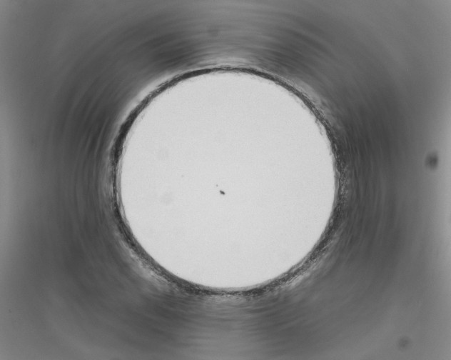 X0000116881118201002021142