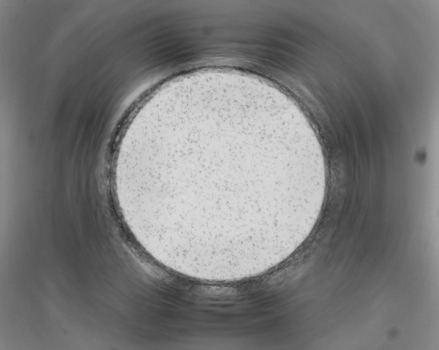 X0000116881119201002021142