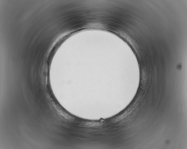 X0000116881123201002021142