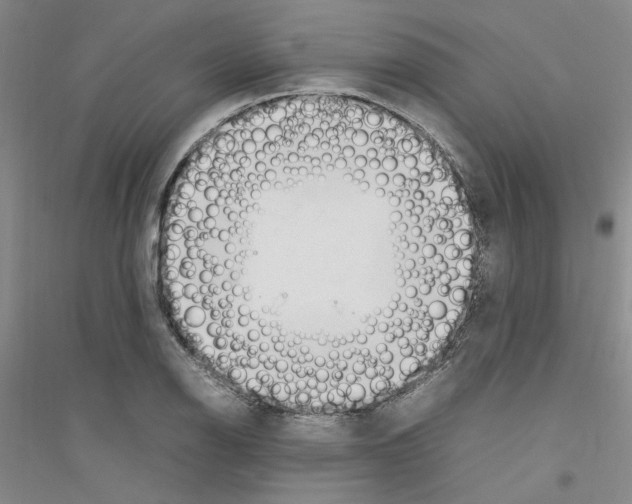 X0000116881126201002021142