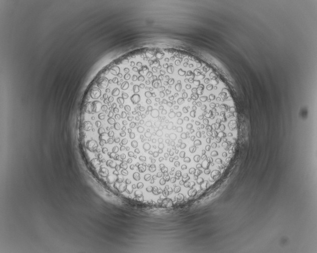 X0000116881130201002021142