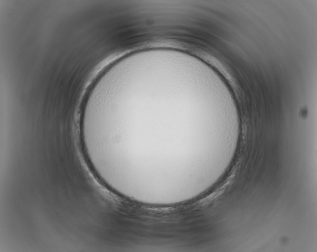 X0000116881133201002021142