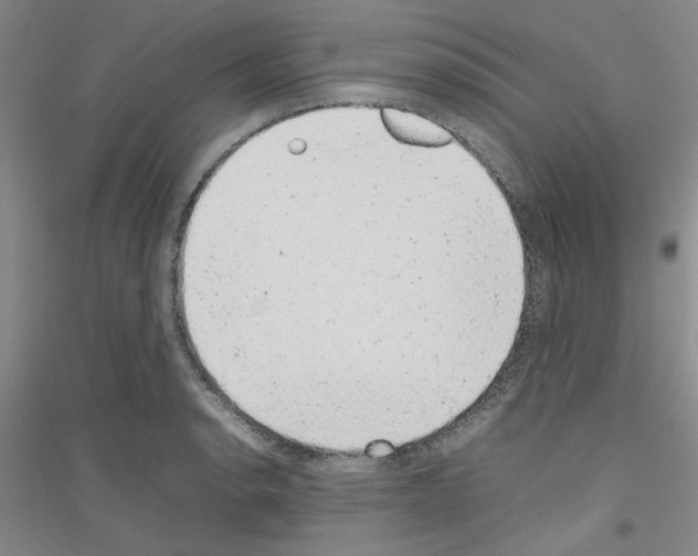 X0000116881134201002021142