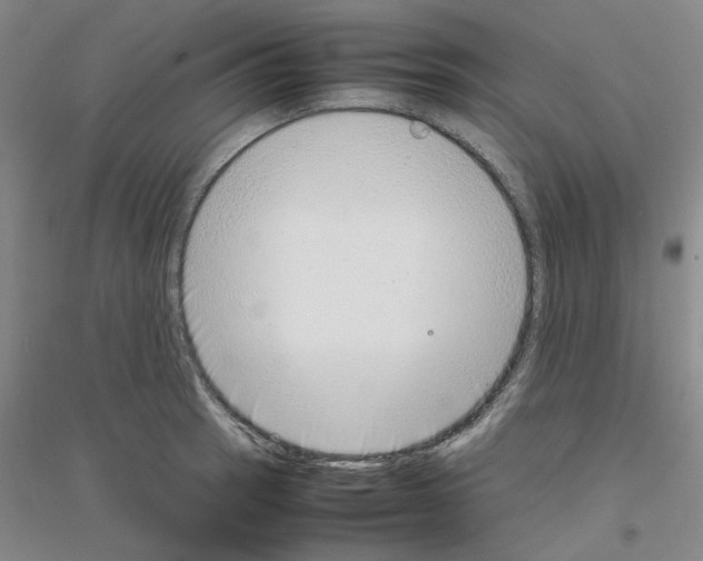 X0000116881137201002021143