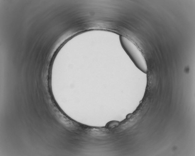 X0000116881138201002021143