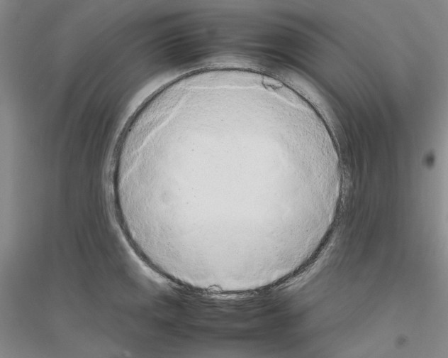 X0000116881141201002021143