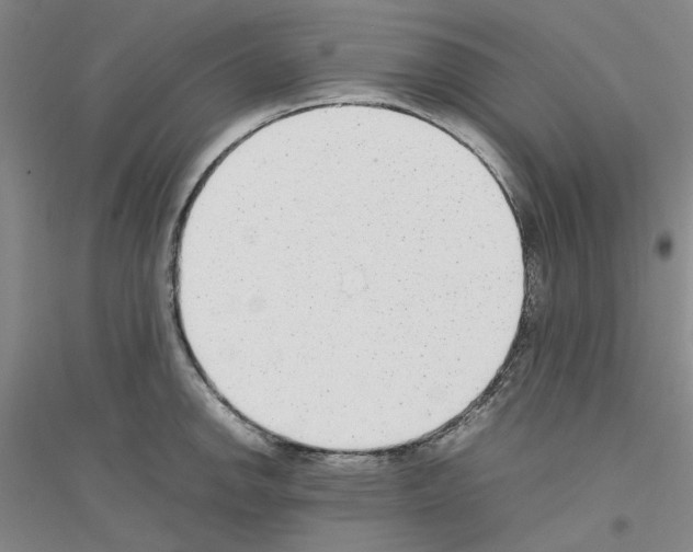 X0000116881142201002021143