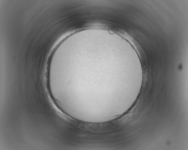 X0000116881147201002021143