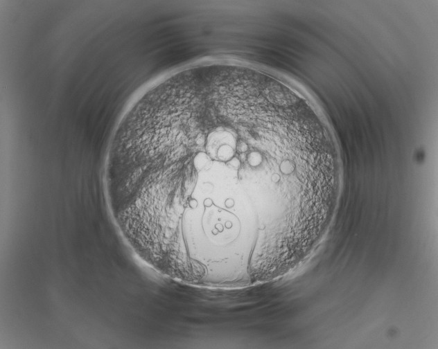 X0000116881149201002021143