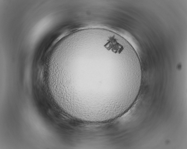 X0000116881150201002021143