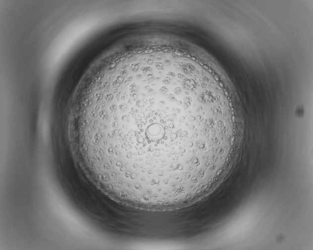 X0000116881151201002021143