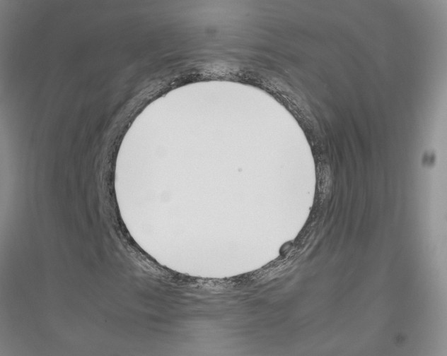 X0000116881153201002021142