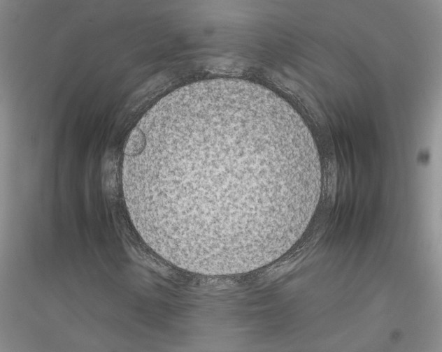 X0000116881154201002021142