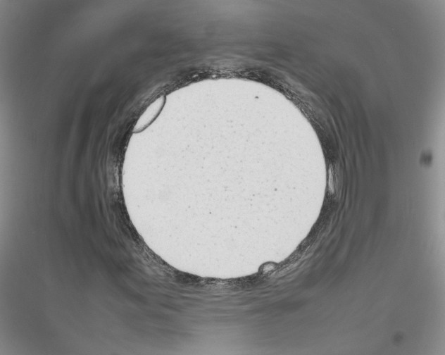 X0000116881155201002021142