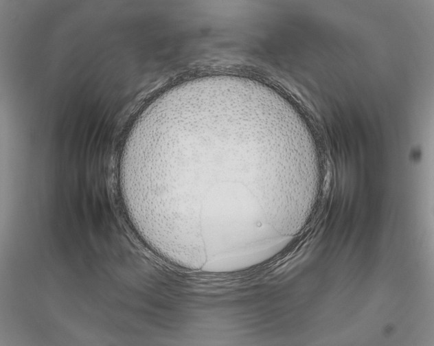 X0000116881156201002021142