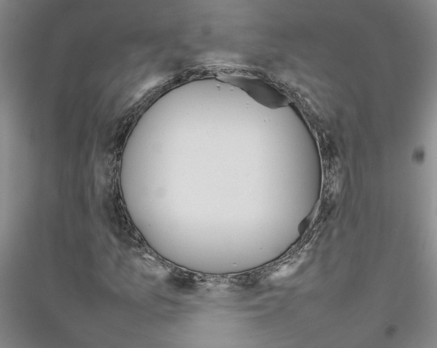 X0000116881157201002021142