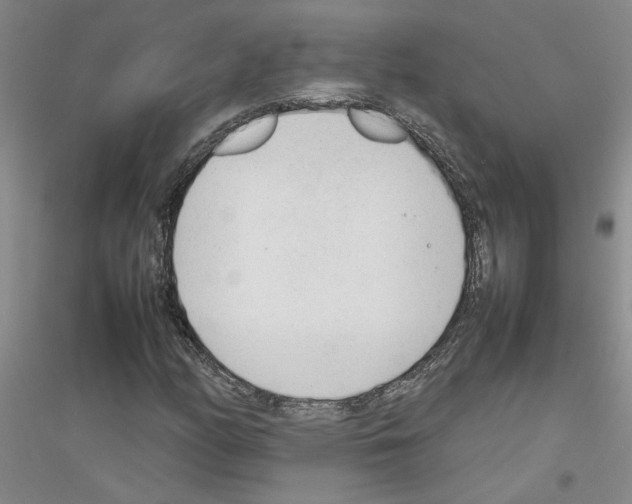 X0000116881158201002021142