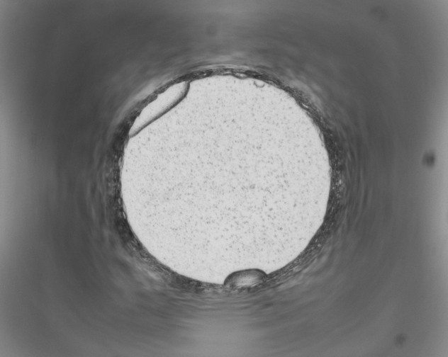 X0000116881159201002021142