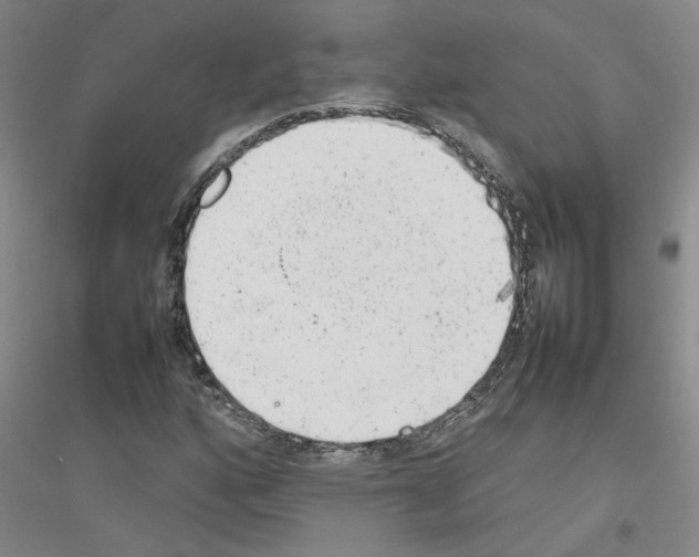 X0000116881160201002021142