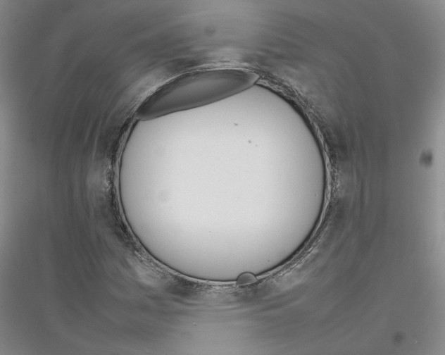 X0000116881161201002021142