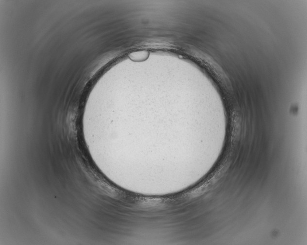X0000116881162201002021142