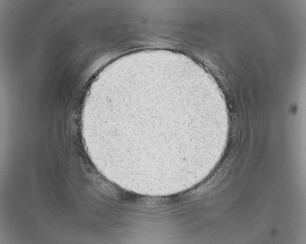 X0000116881163201002021142