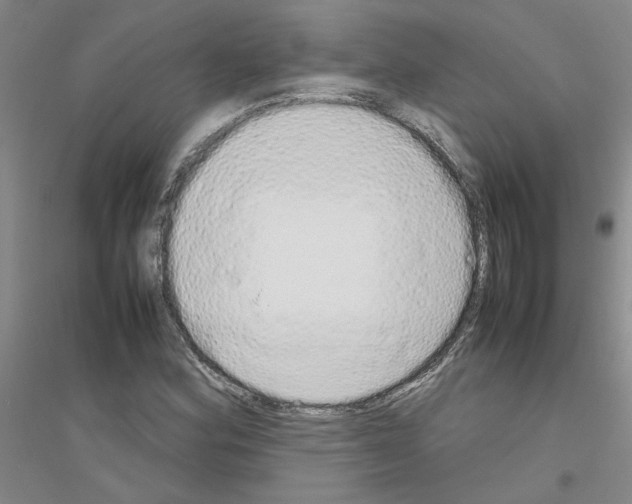 X0000116881164201002021142